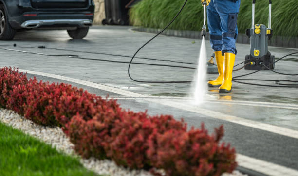 Professional Pressure Washing in Culpeper, VA